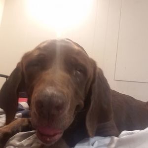 Meet your Posher, Jayden